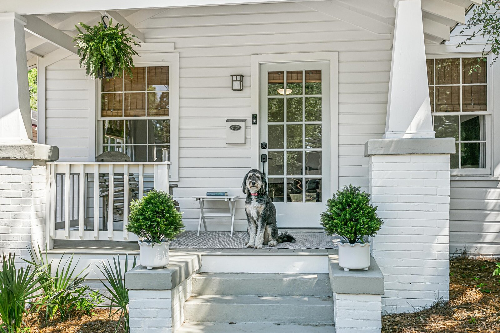 Charming front porch with bench, plants, and a friendly dog